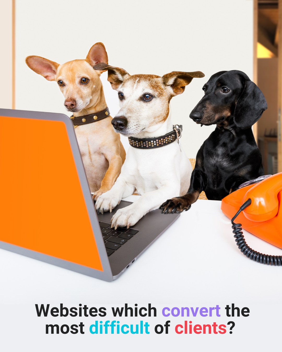 MNO Ventures Facebook ad: Most websites don’t have a traffic problem, they…