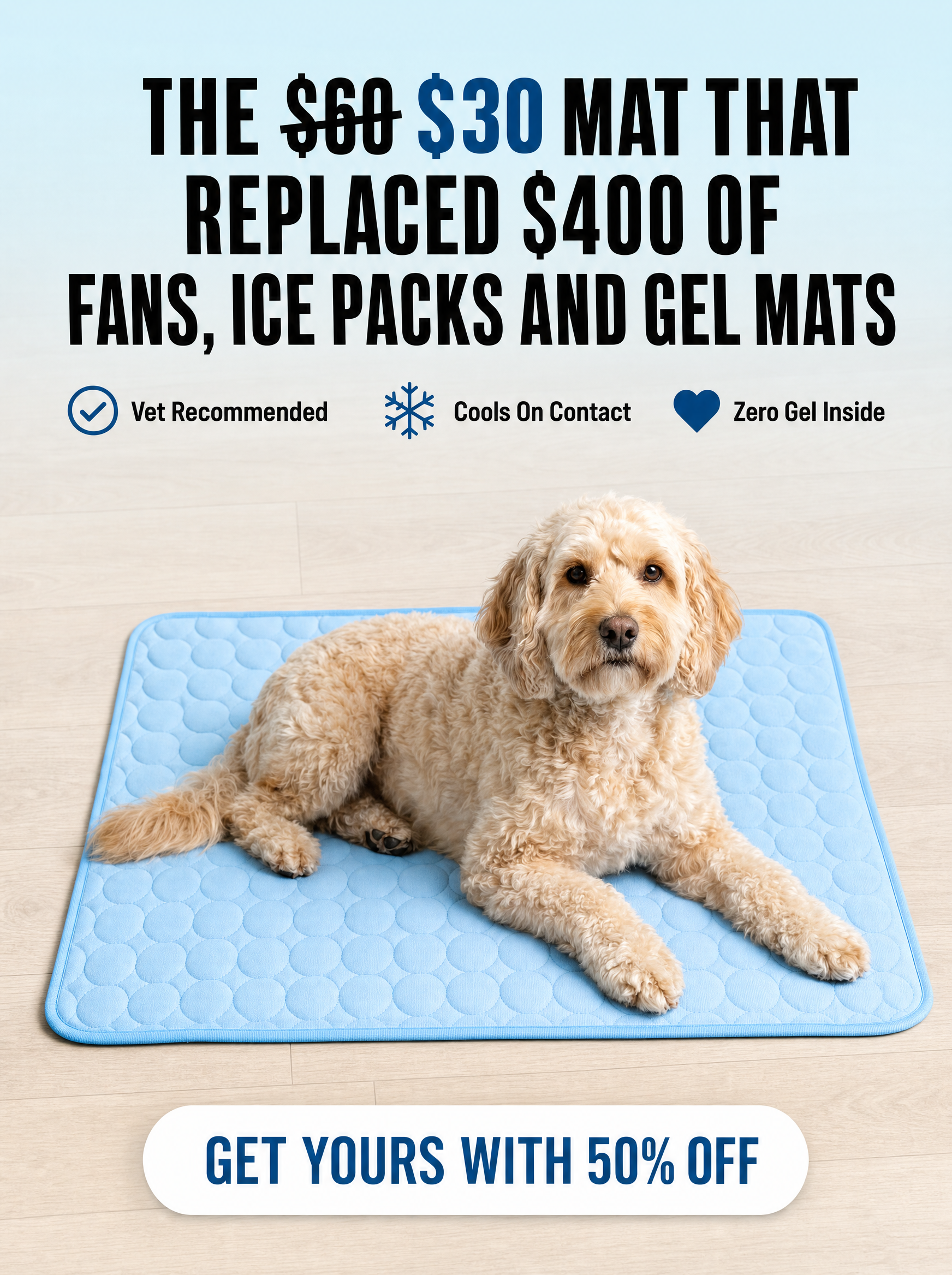 Rhykin Pet Co Facebook ad