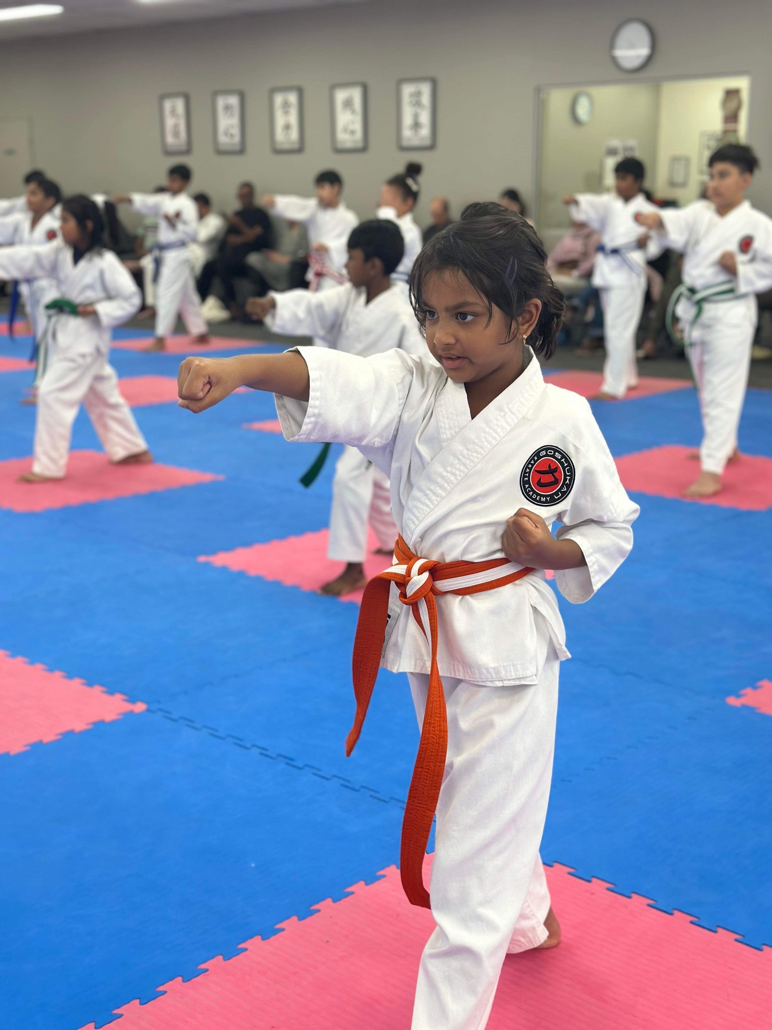 Goshukan Karate Academy Facebook ad