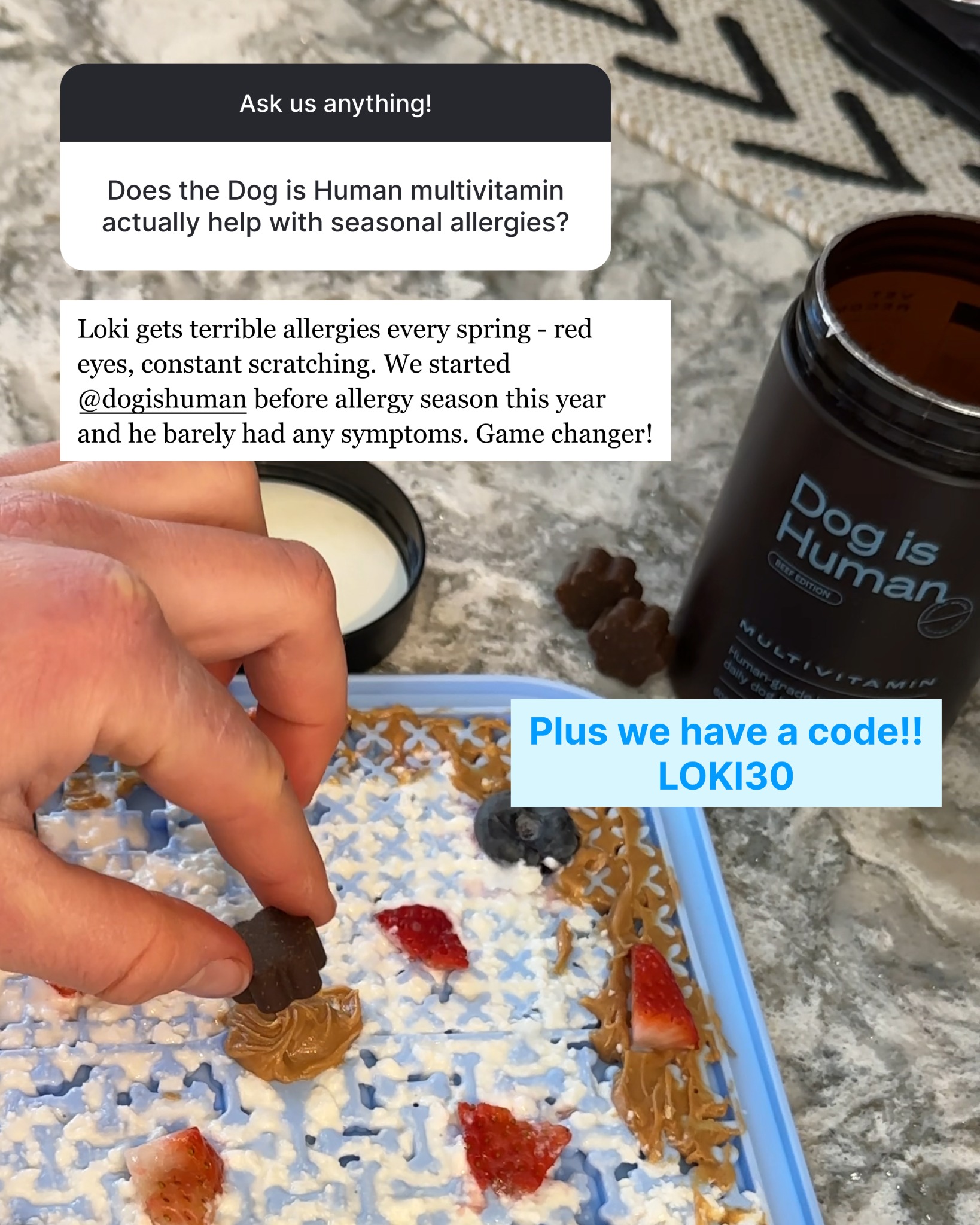 Dog is Human Facebook ad