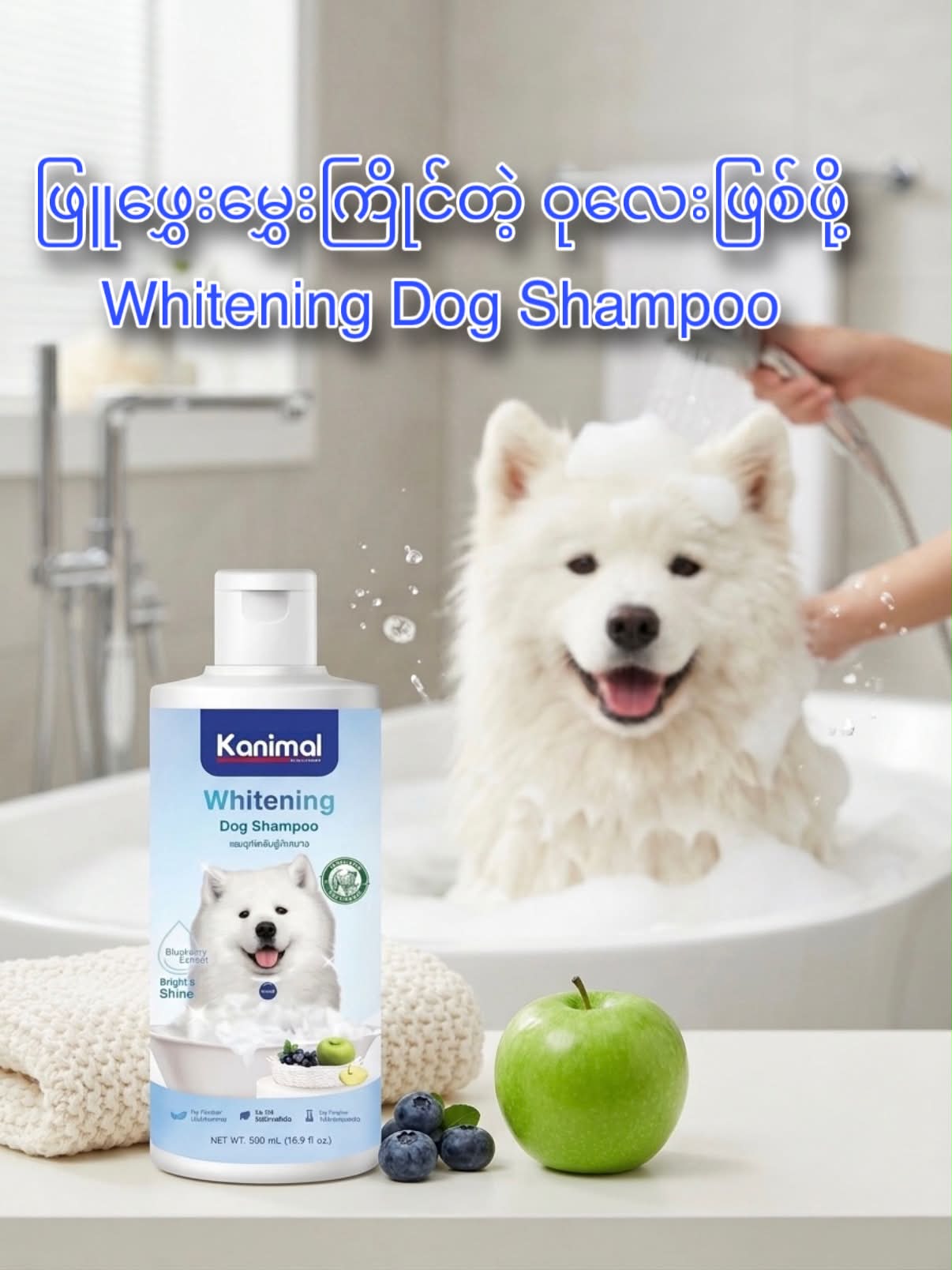 Chic Paws Facebook ad