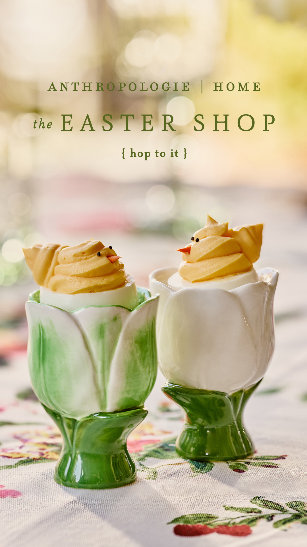 Anthropologie Facebook ad