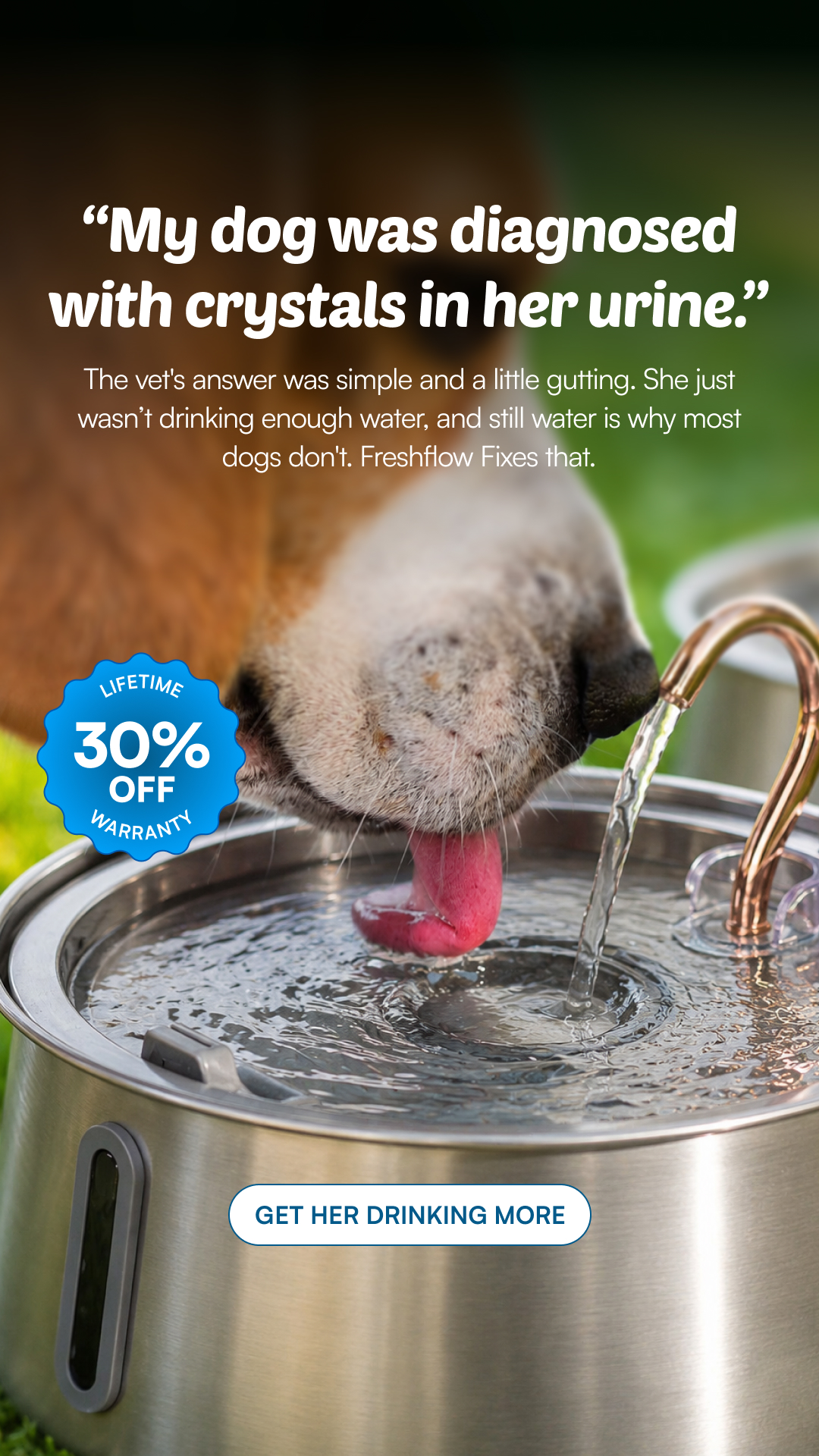 Rhykin Pet Co Facebook ad