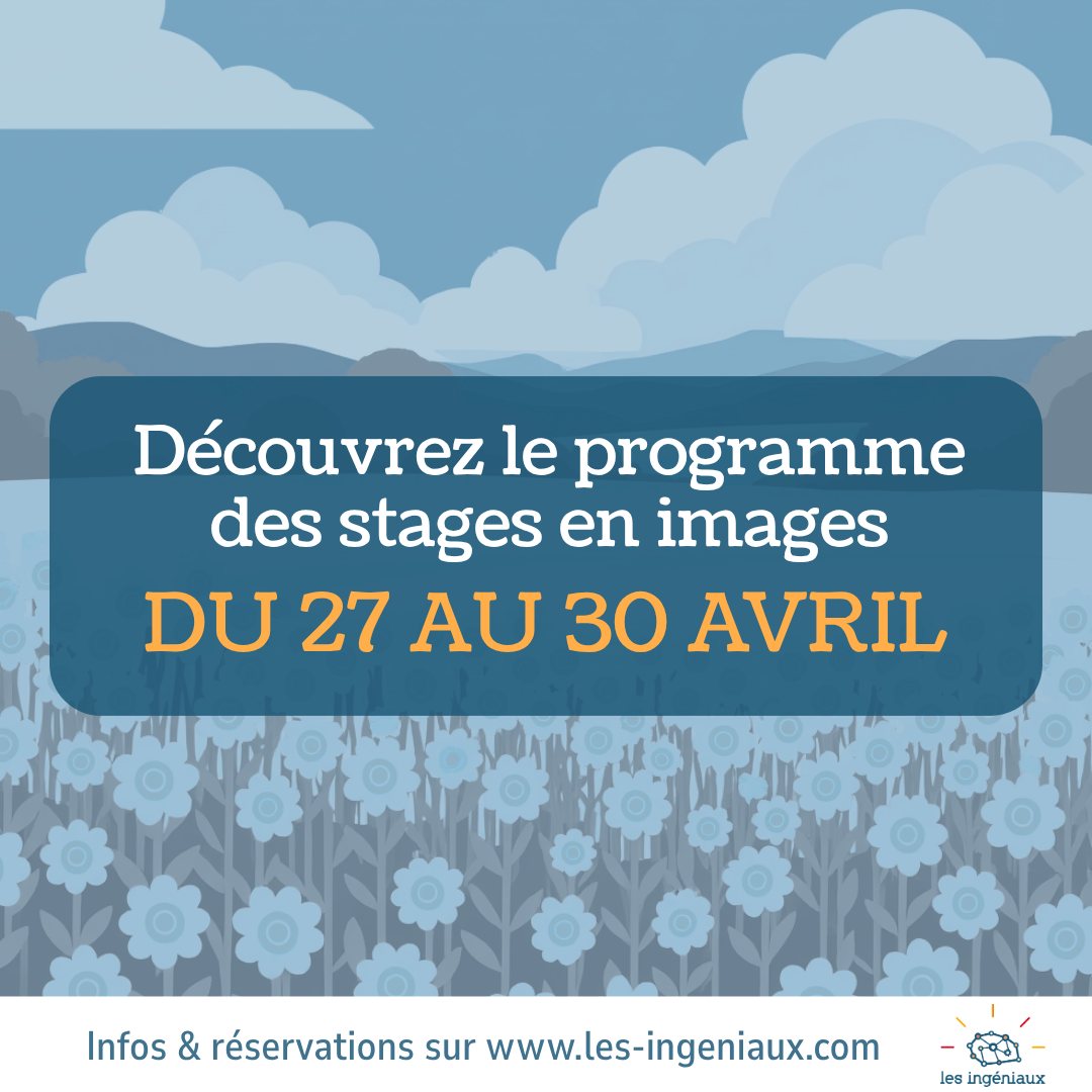 Les Ingéniaux Facebook ad