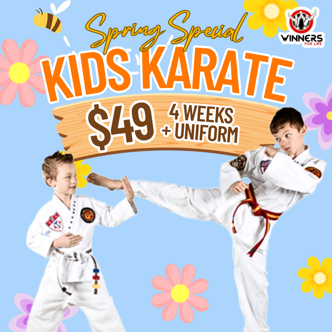 Winners for Life Martial Arts Harrisburg  Facebook ad