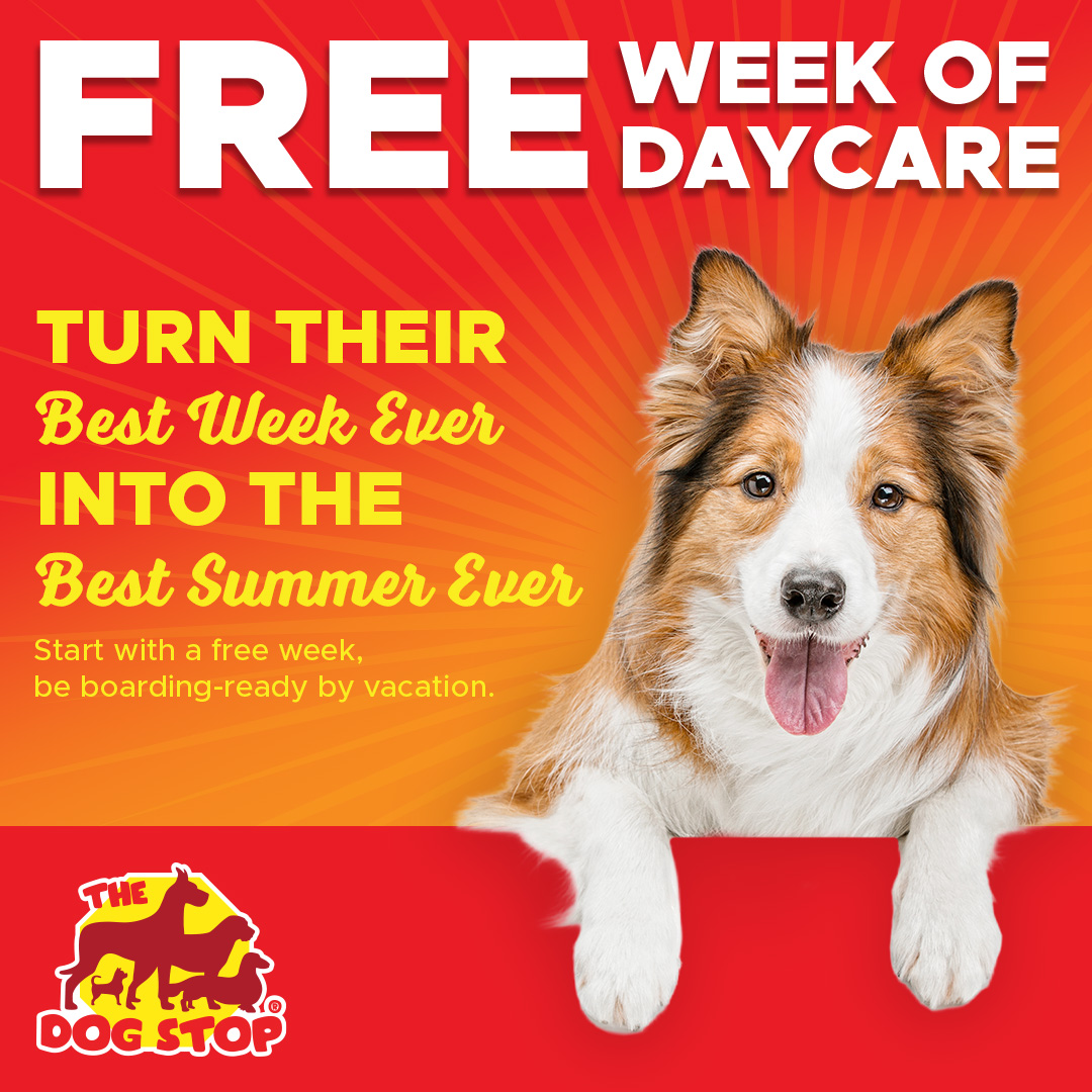 The Dog Stop - Sherwood, OR Facebook ad