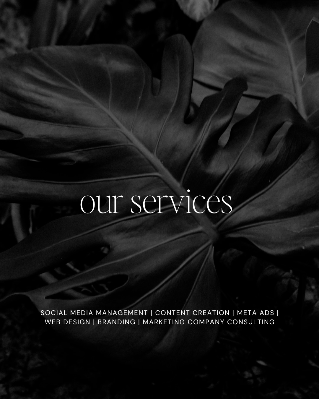 Seer Social Facebook ad: We don’t just post for you.