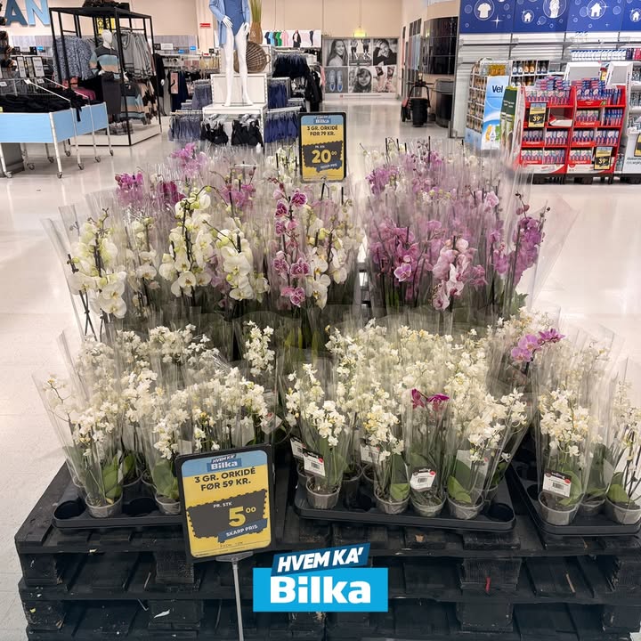 Bilka Facebook ad