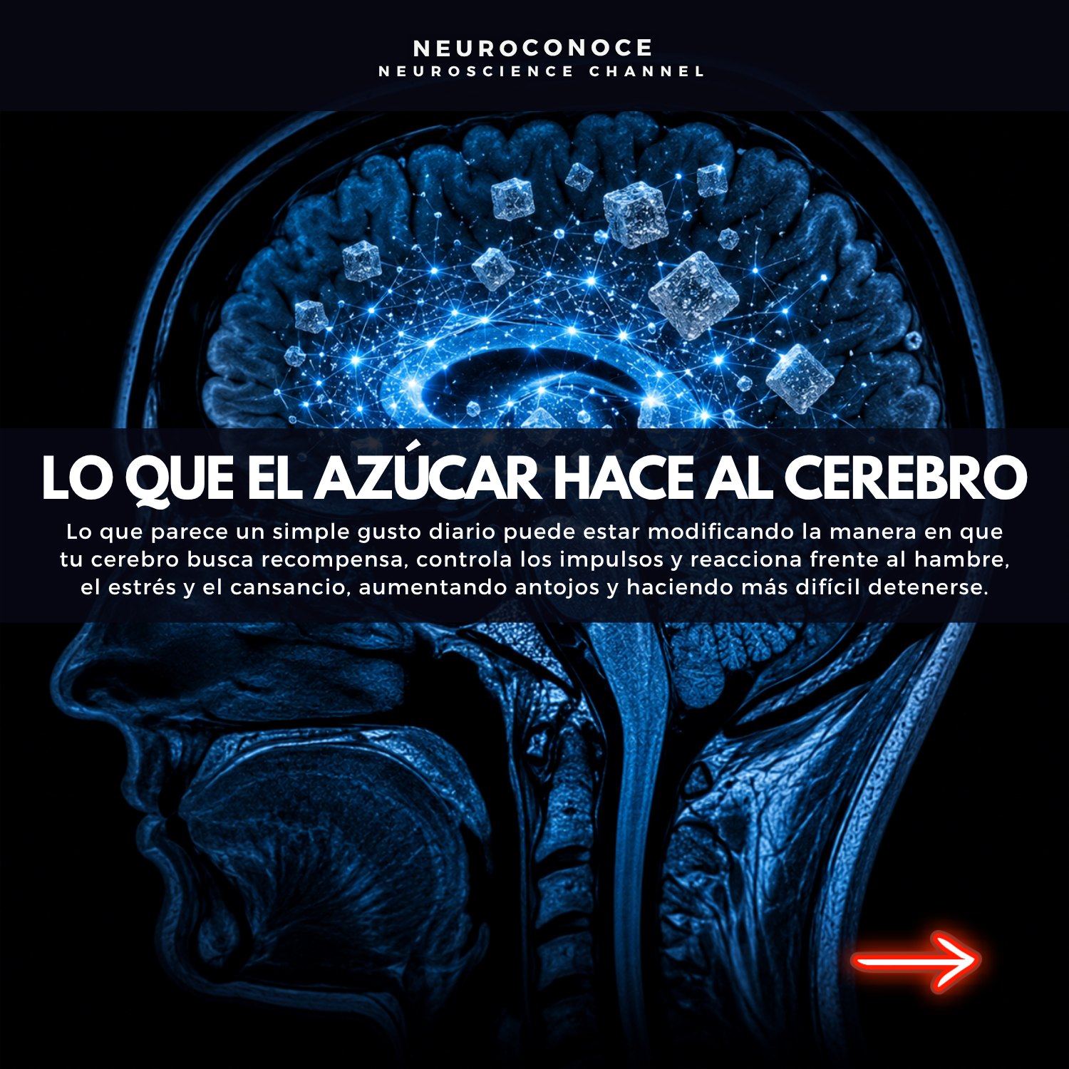 Neuroconoce Facebook ad: Lo que el exceso de azúcar puede hacerle…