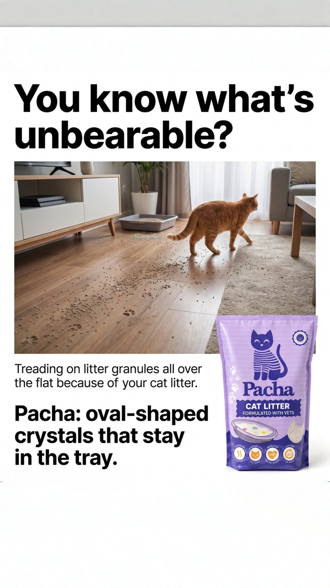 Pacha.hello Facebook ad from Jul 2, 2026
