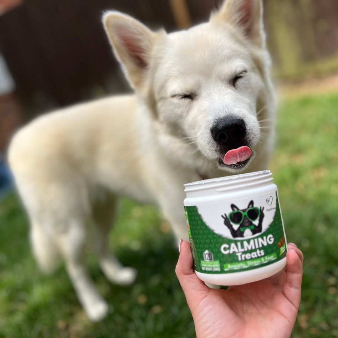 Nutri Paw Facebook ad