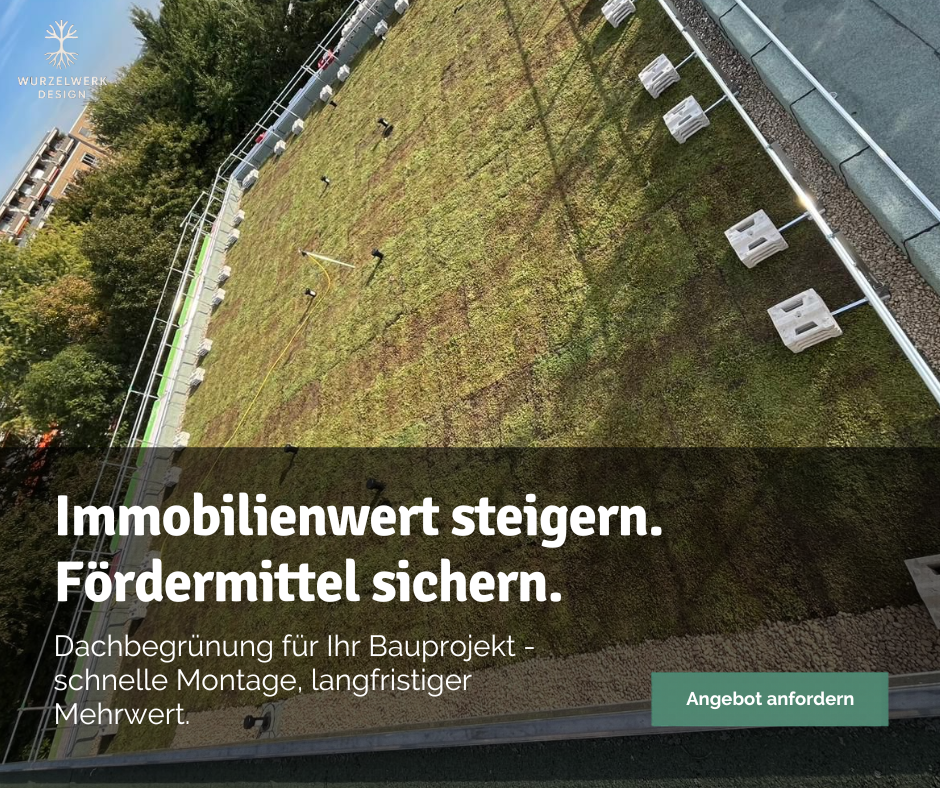 WurzelwerkDesign Facebook ad: Immobilienwert steigern. Fördermittel sichern.
