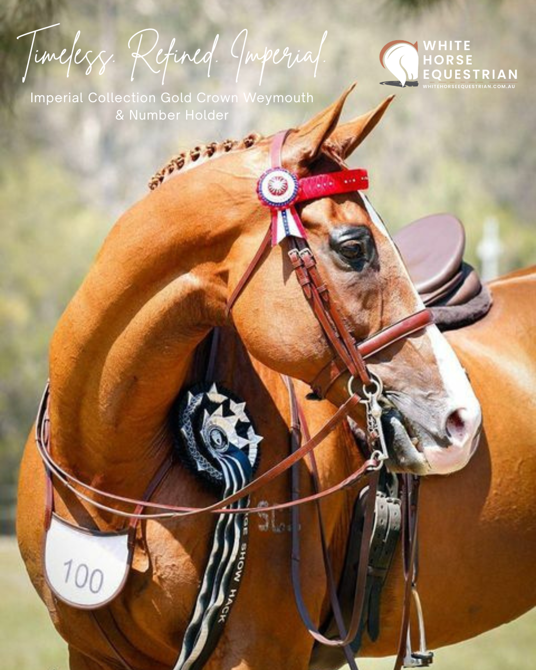 White Horse Equestrian - Aust Facebook ad