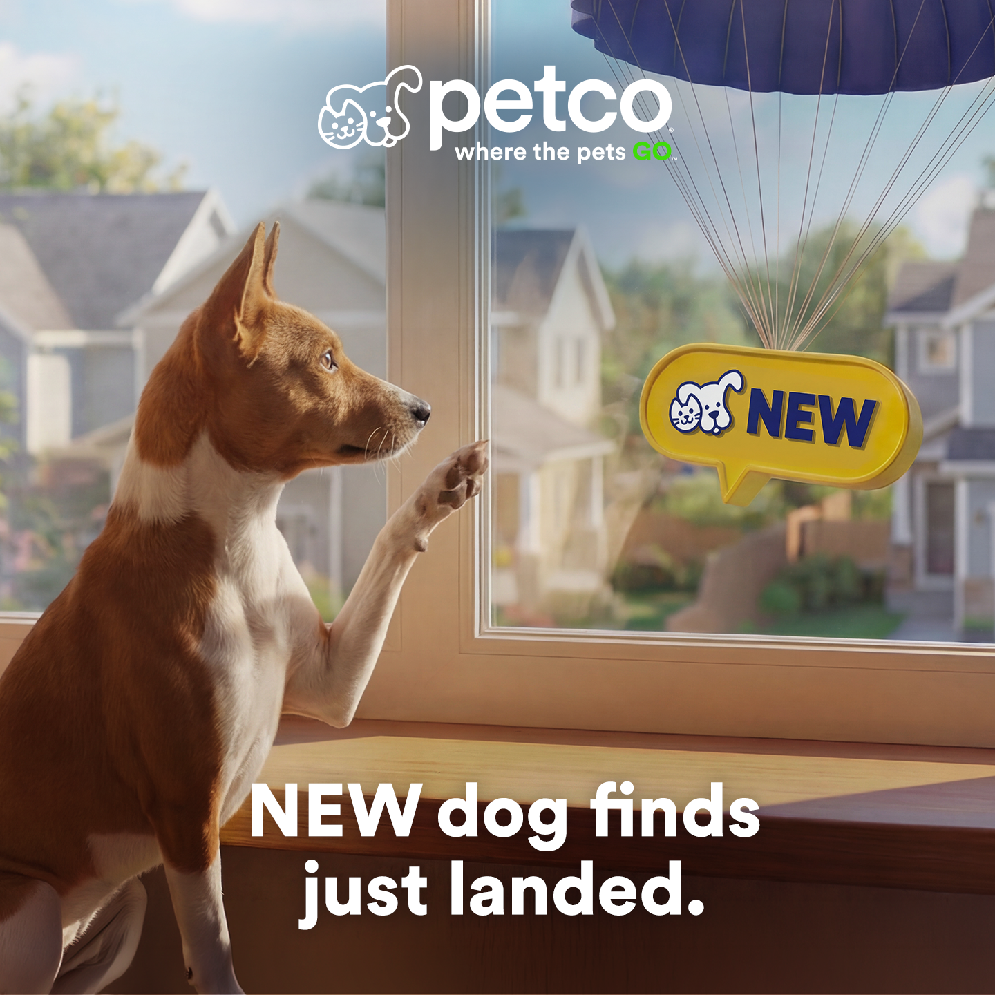 Petco Facebook ad