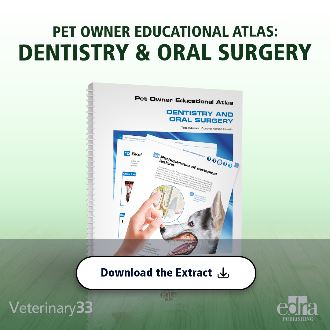 Edra Publishing US Facebook ad: Are your clients struggling to understand dental conditions…