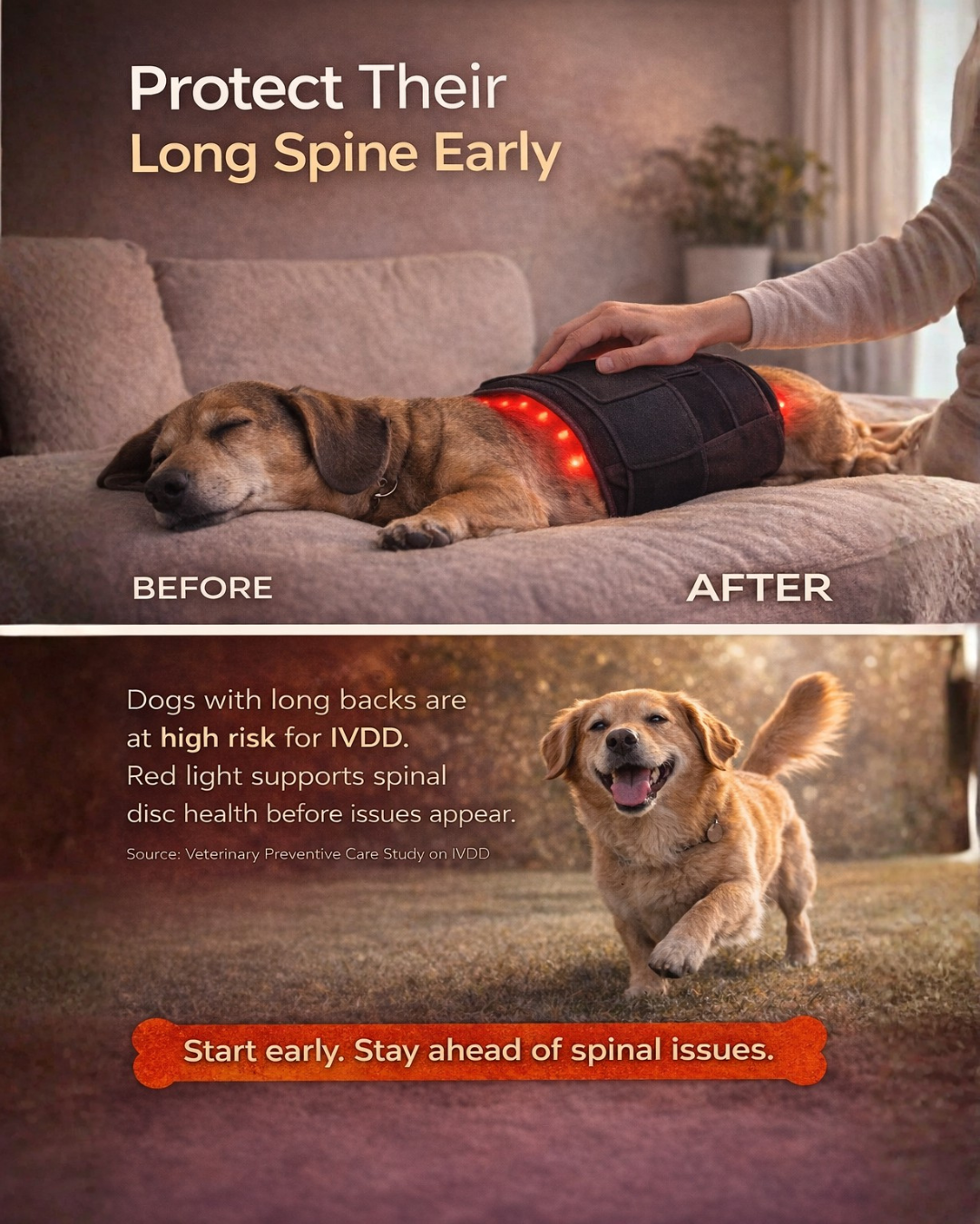 Therapet Co Facebook ad