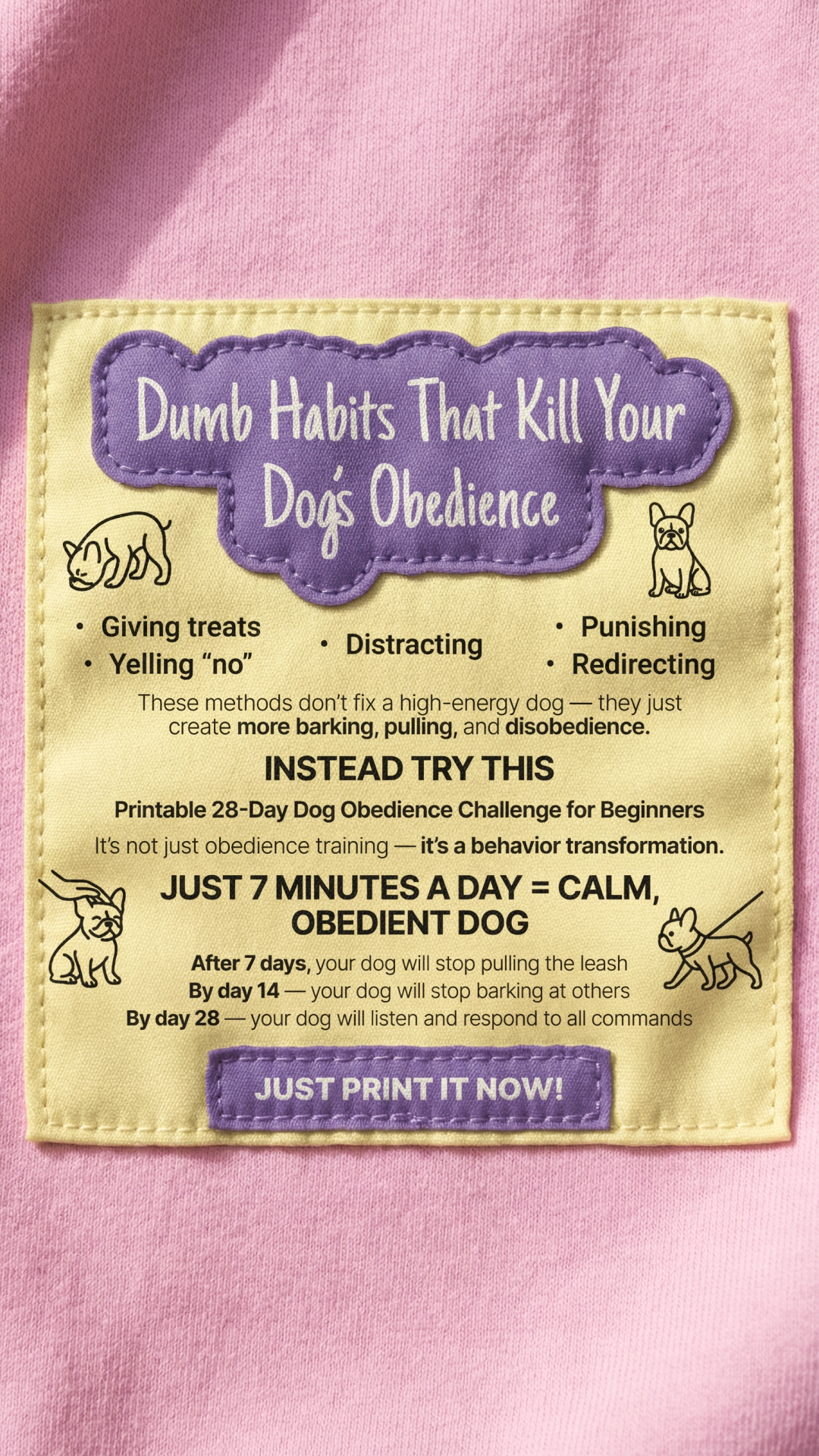 28 Day Dog Obedience Challenge Facebook ad