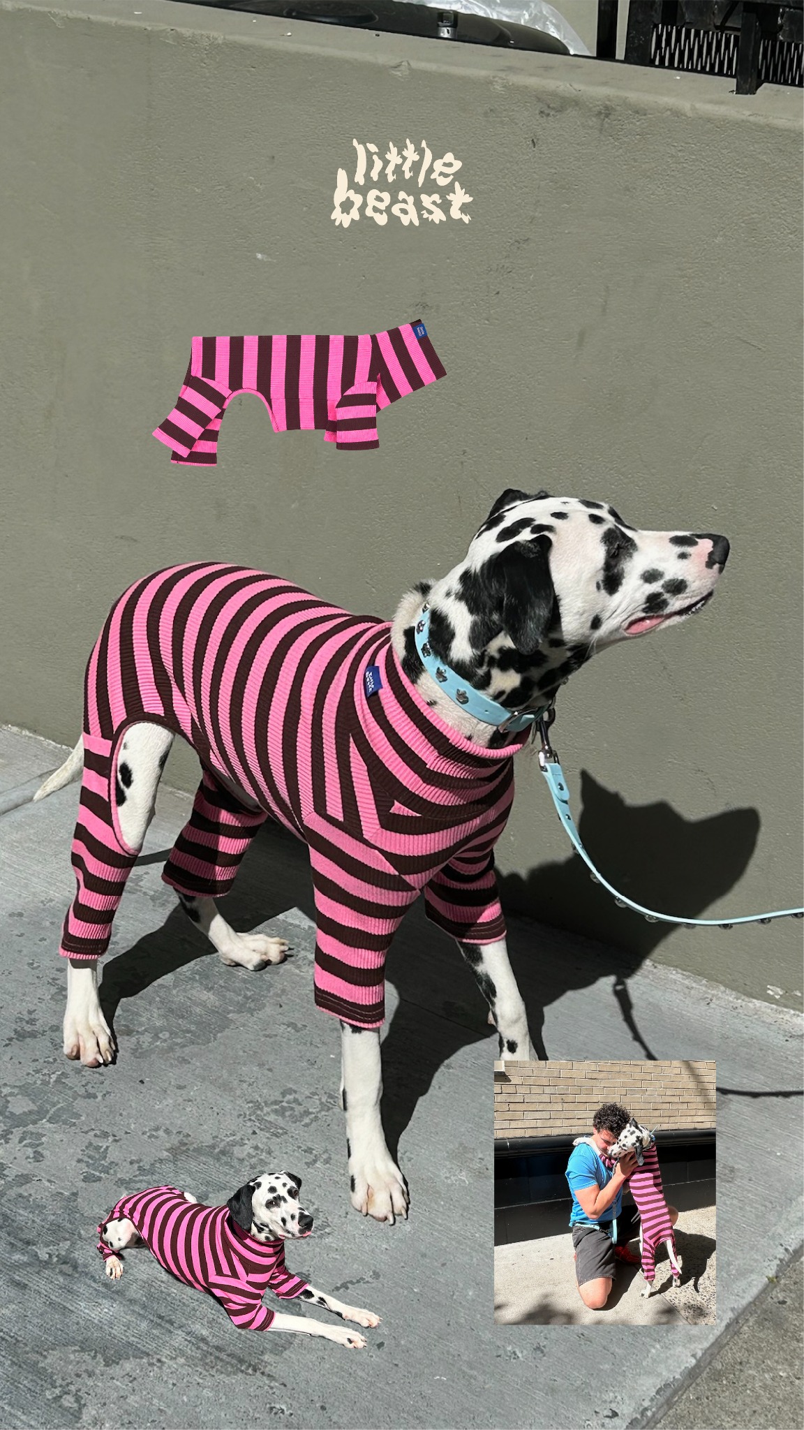 Little Beast Facebook ad