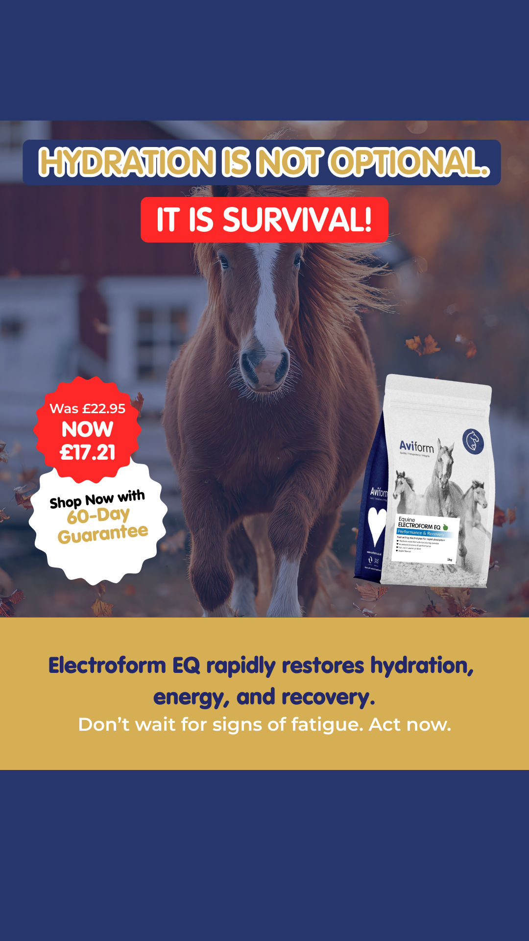 Aviform Nutrition UK - Horse & Dog Facebook ad