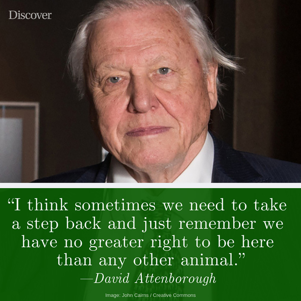 Animal Matters Facebook ad