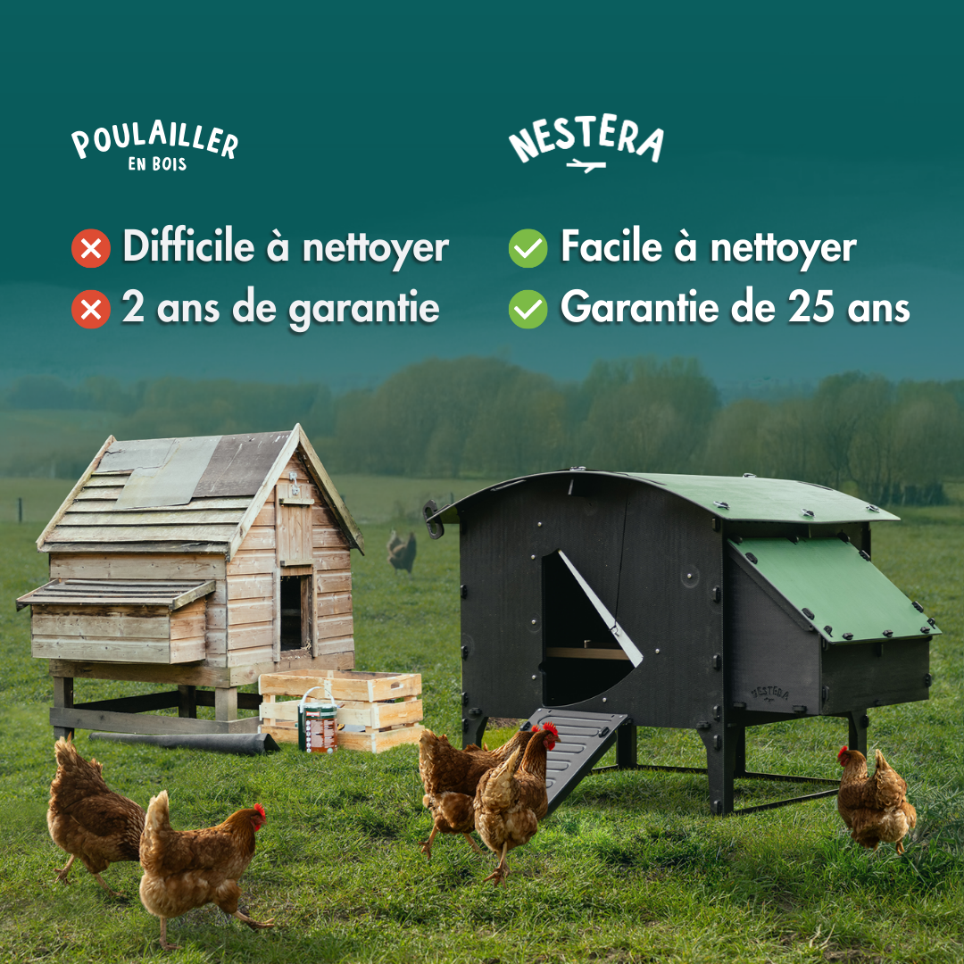 Nestera Benelux Facebook ad: Passez à un poulailler Nestera