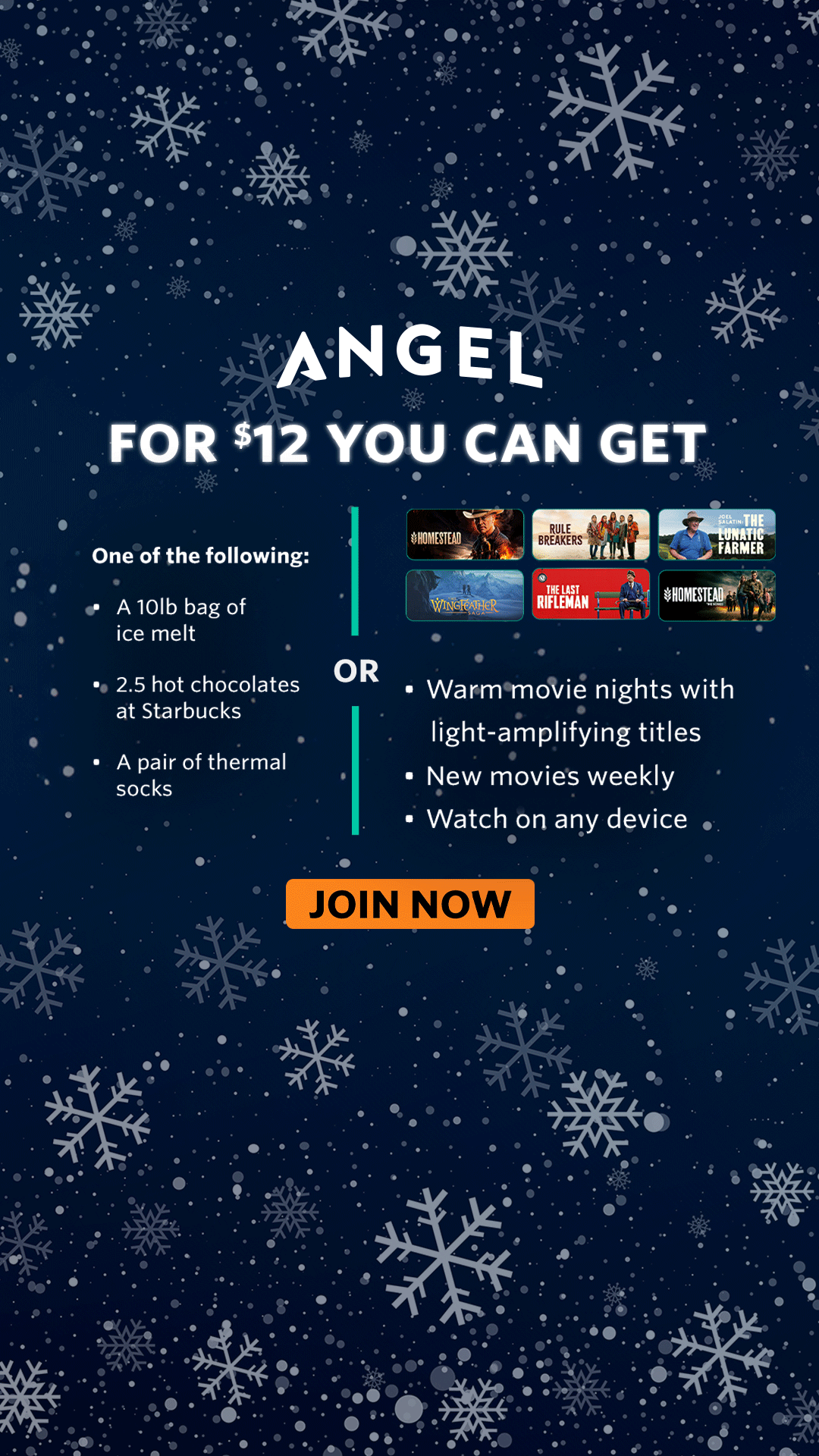 Angel Facebook ad