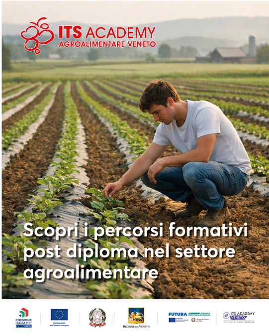 ITS Agroalimentare Veneto Facebook ad: Costruisci il tuo futuro con percorsi post diploma…