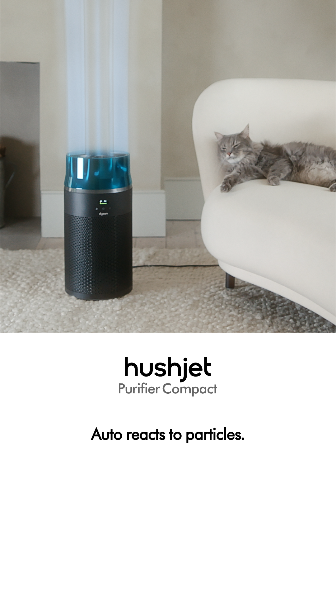 Dyson Facebook ad
