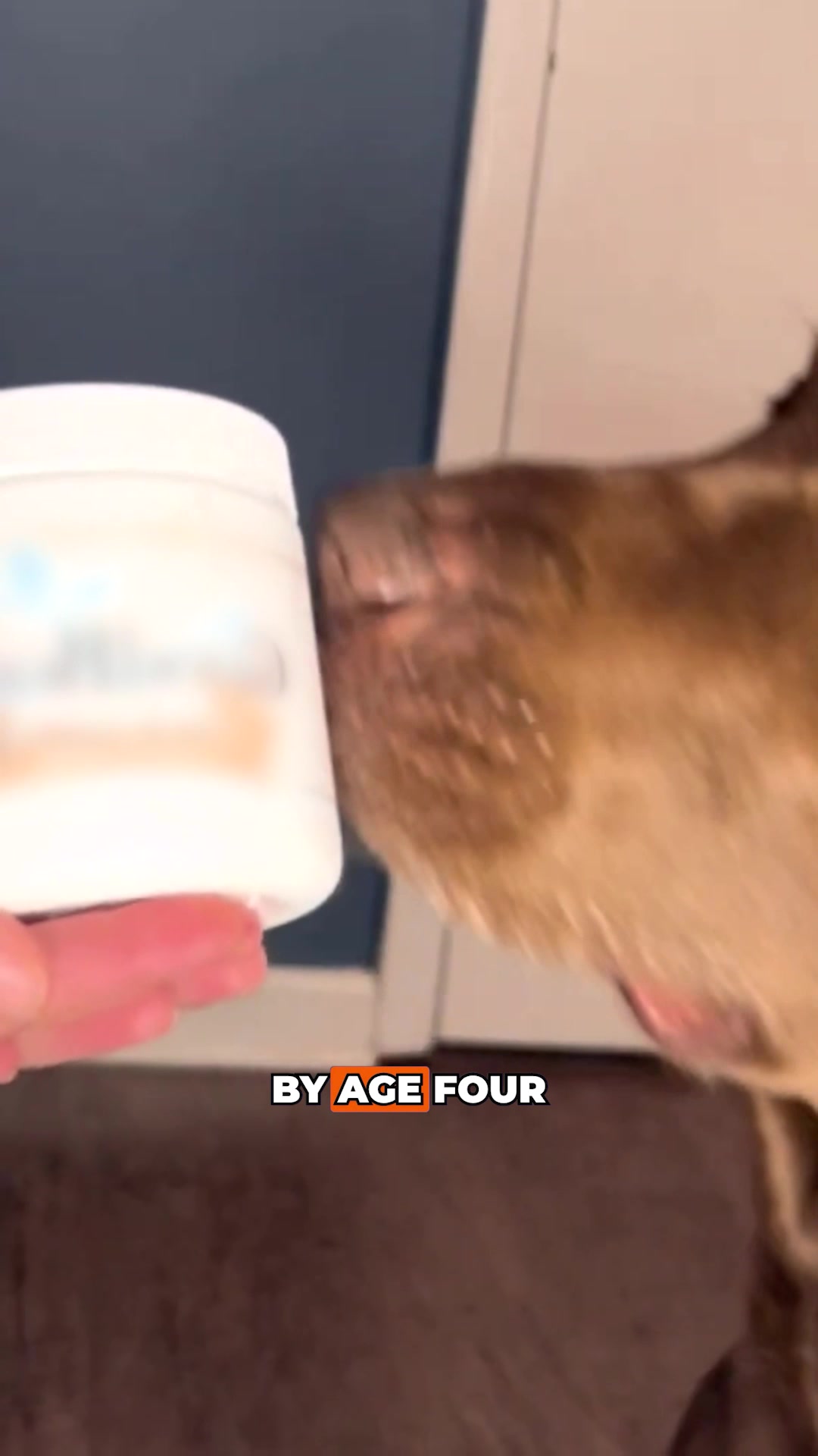 Dr. Jessica Perez, Veterinarian Facebook ad: Help your dog move freely again