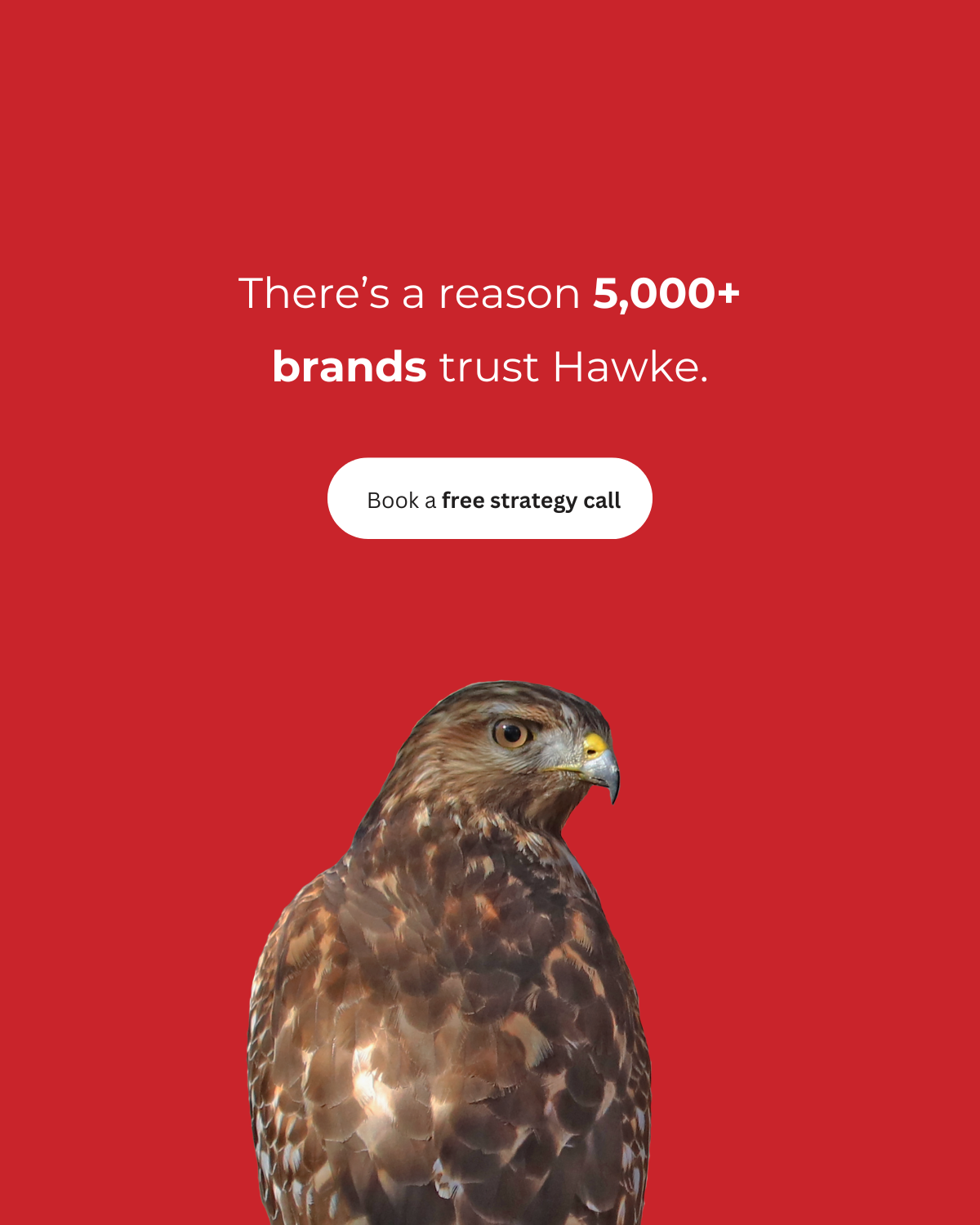 Hawke Media Facebook ad