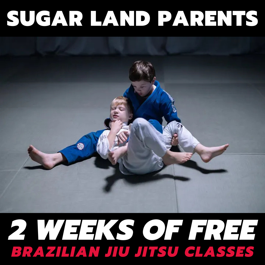 LX Jiu-Jitsu & Self Defense - Sugar Land, TX Facebook ad