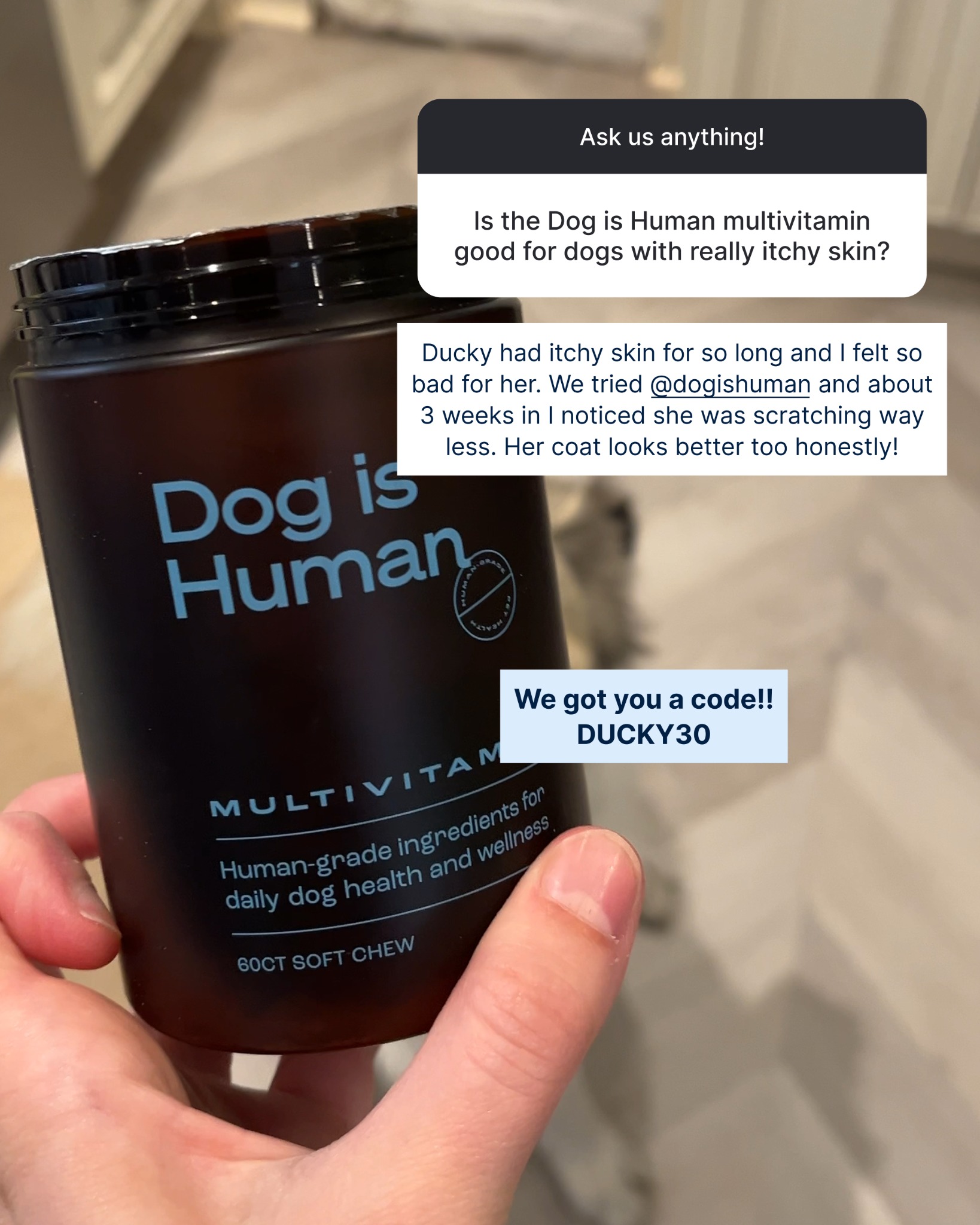 Dog is Human Facebook ad