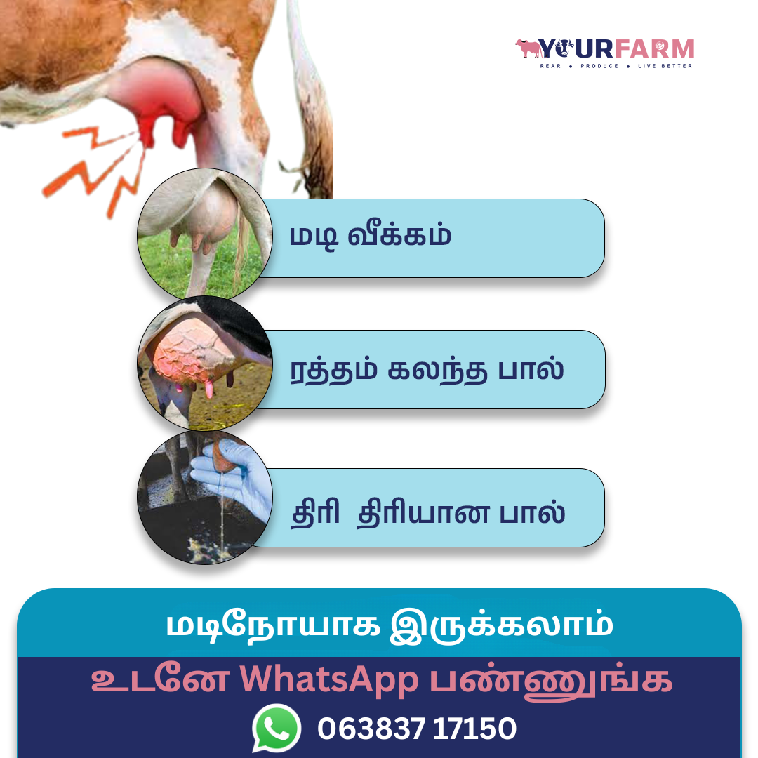 YourFarm AgriTech Facebook ad