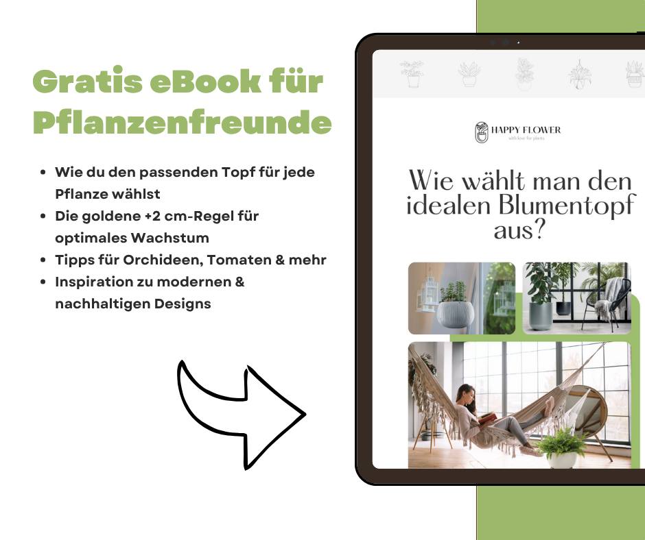 HappyFlower.de Facebook ad: [Dein Onlineshop für schöne Blumentöpfe]