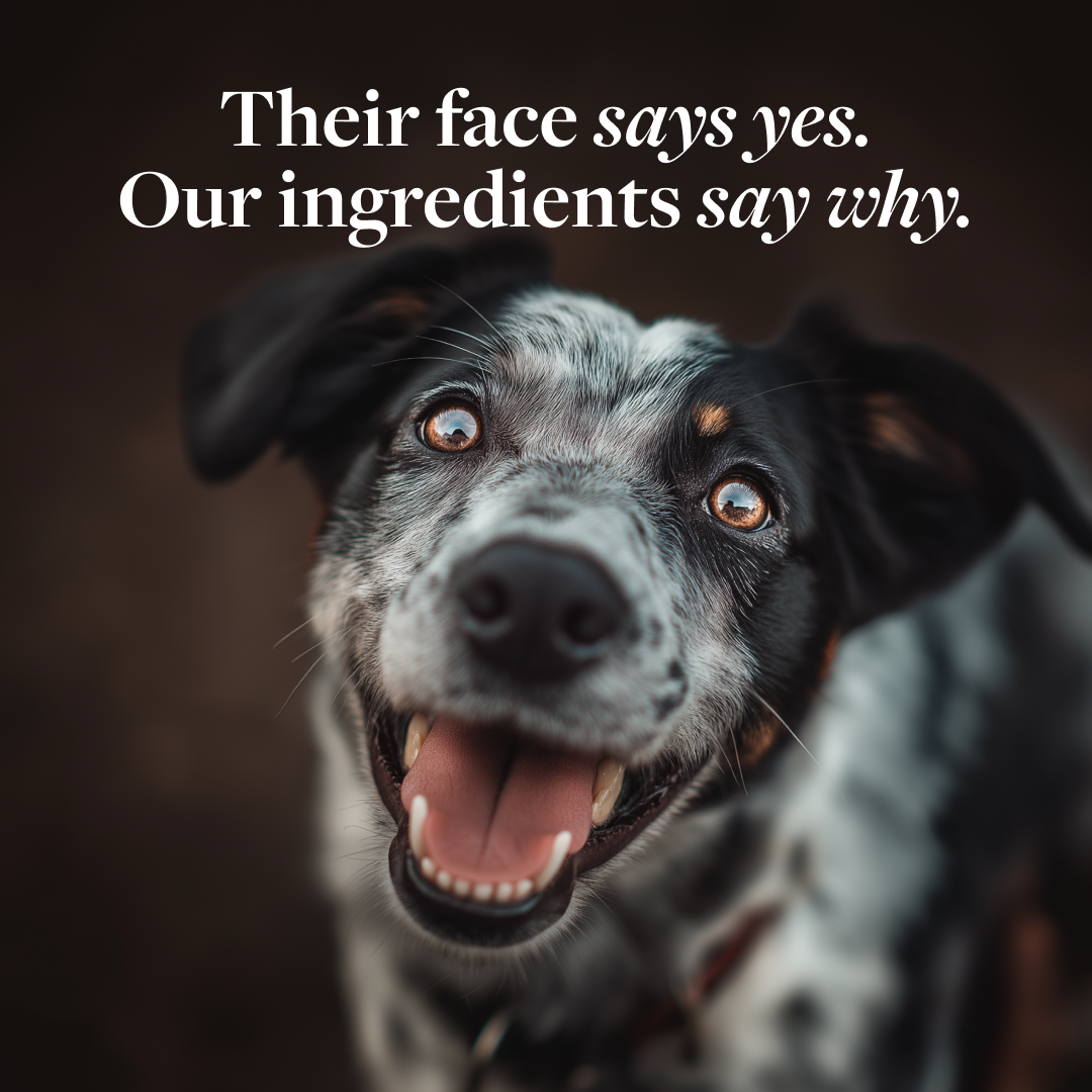 Veterinary Formula Facebook ad from Jul 22, 2025