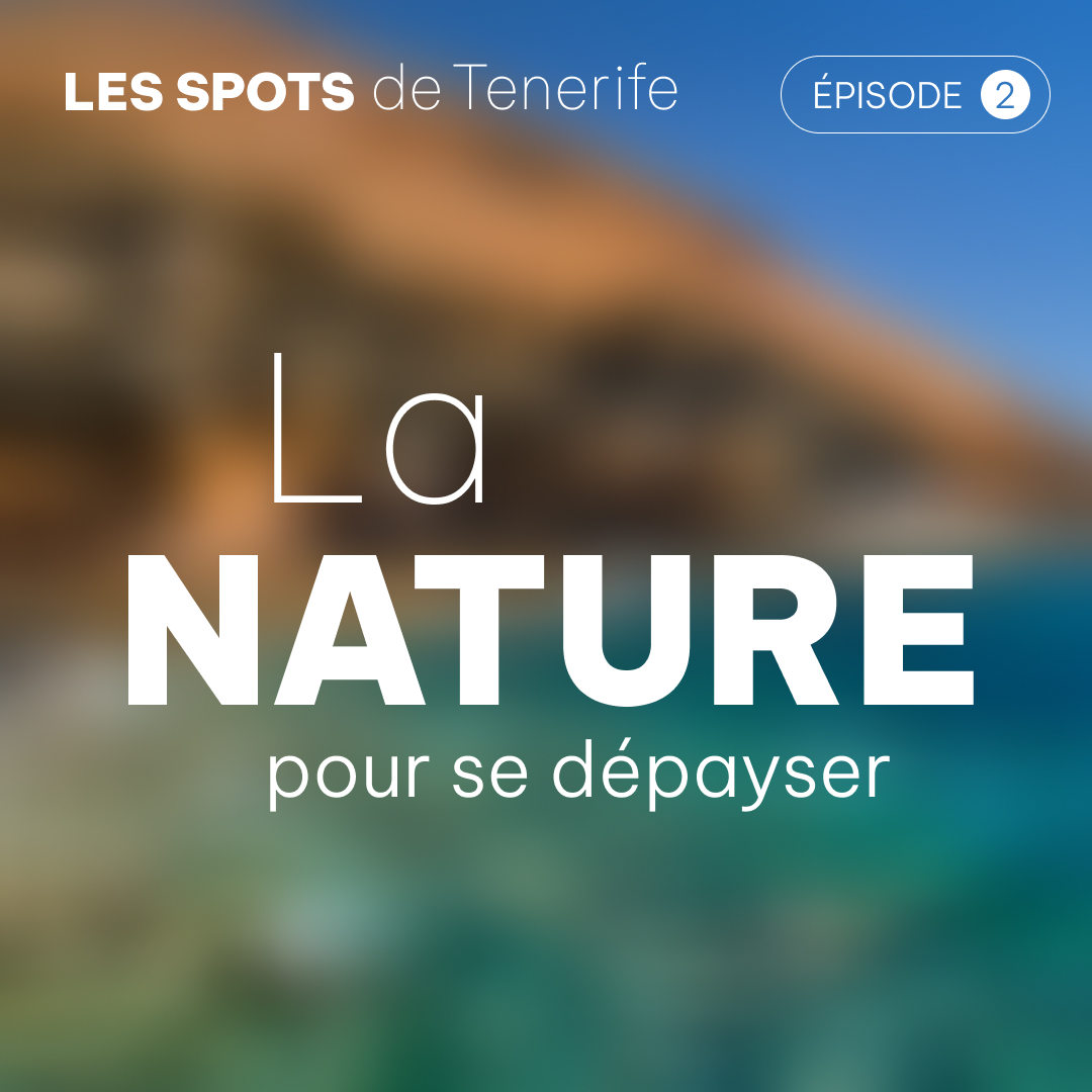 Le Monde Facebook ad