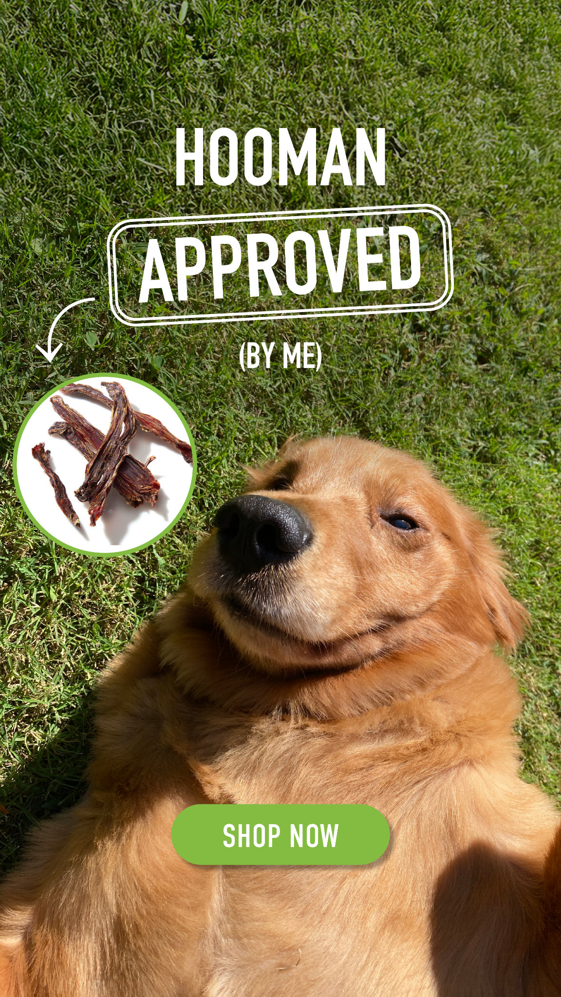 CLEAR Dog Treats Facebook ad