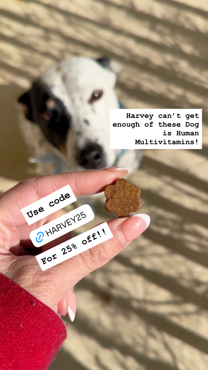 Dog is Human Facebook ad