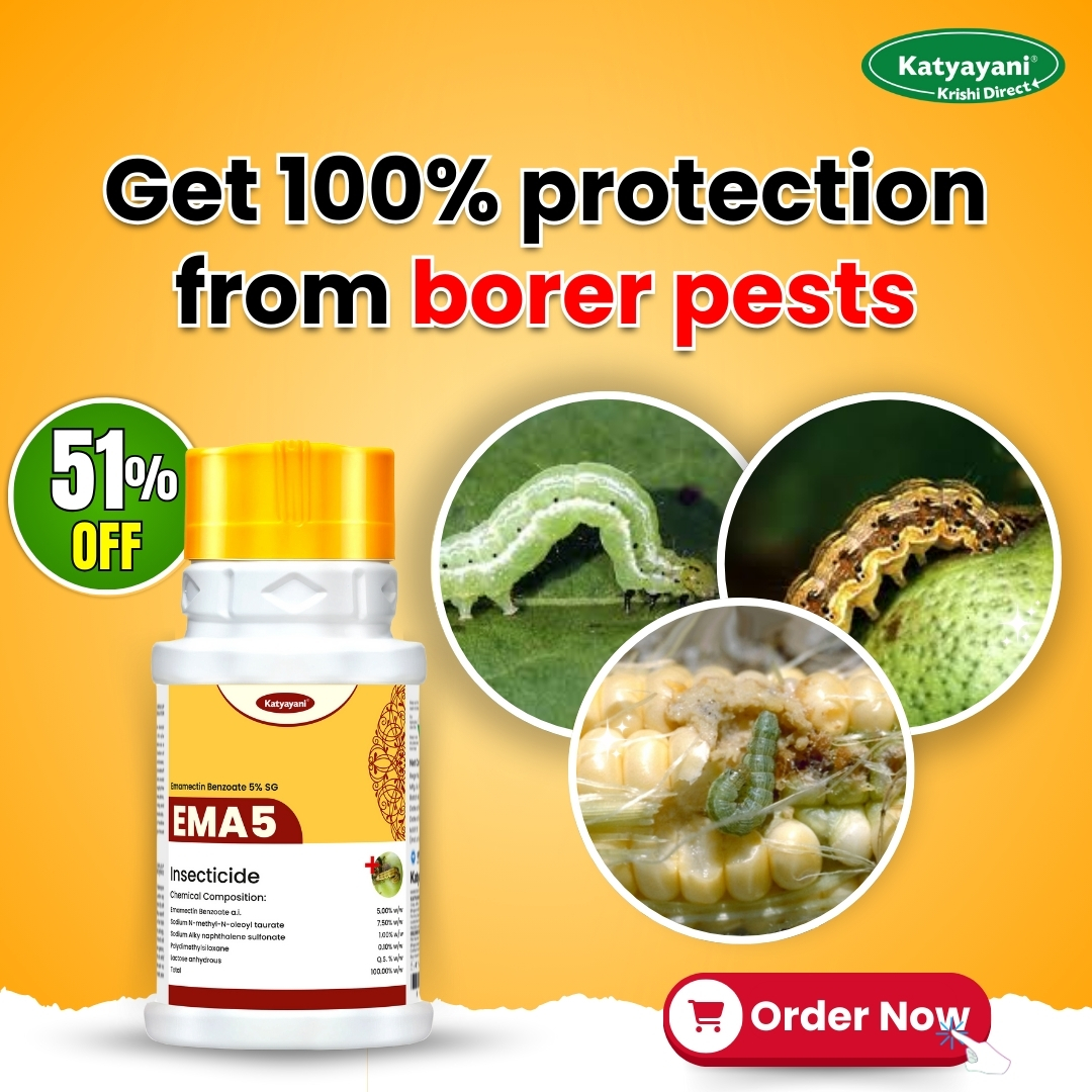 Katyayani Organics Facebook ad