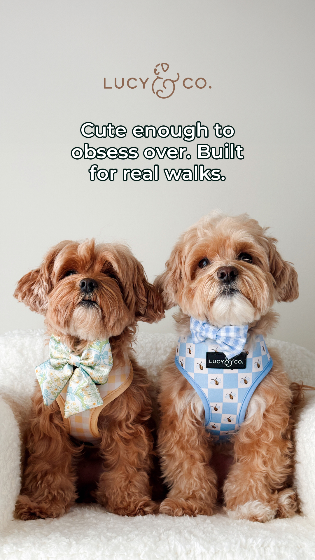 Lucy & Co. Facebook ad