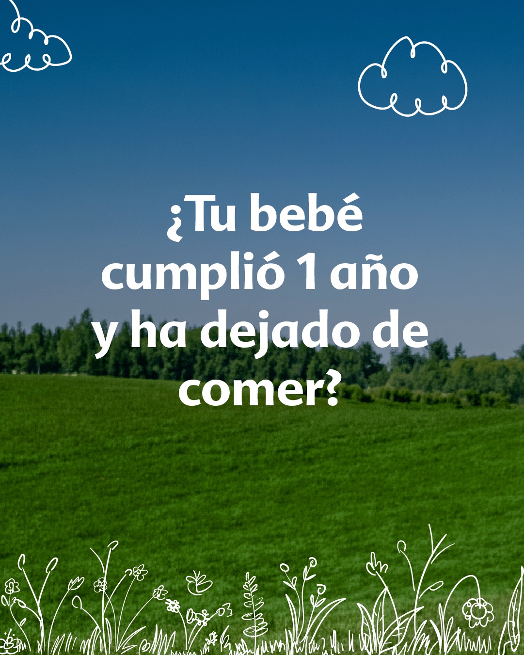 HiPP México Facebook ad