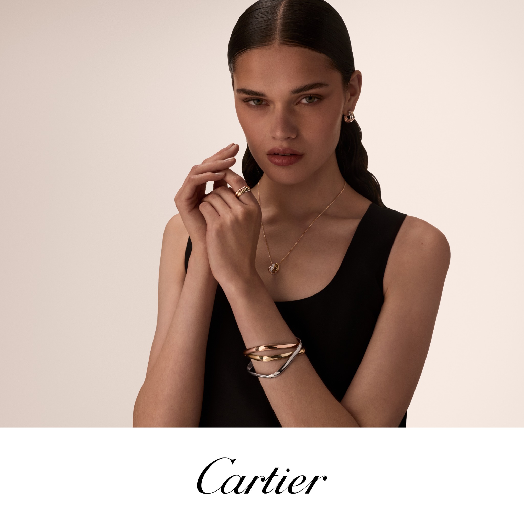 Cartier Facebook ad