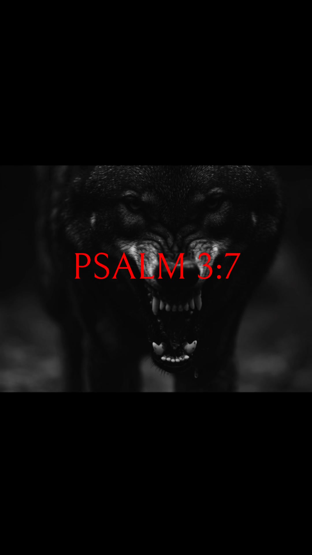 XII Legions Facebook ad: The Psalm 3:7 Collection