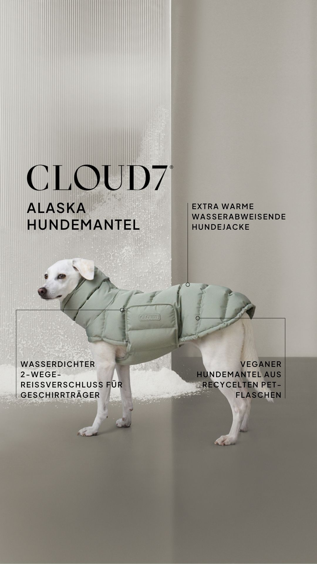 Cloud7 Facebook ad: Wetterfest für jeden Hund