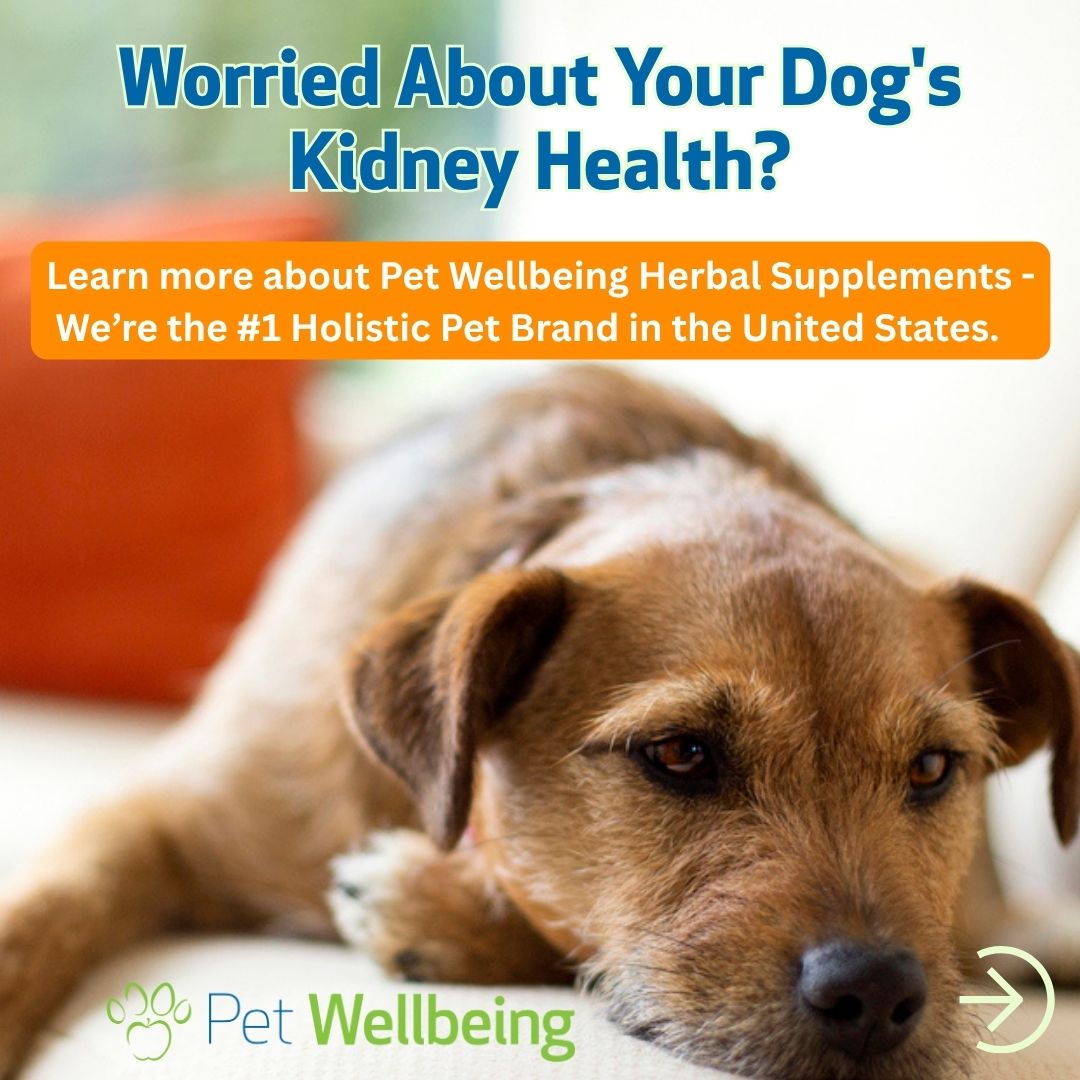 Pet Wellbeing Facebook ad