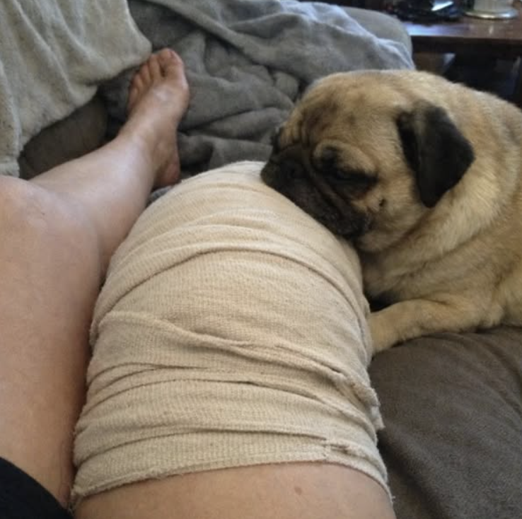 Mpla fora Facebook ad: Mein Hund hat mich gerettet