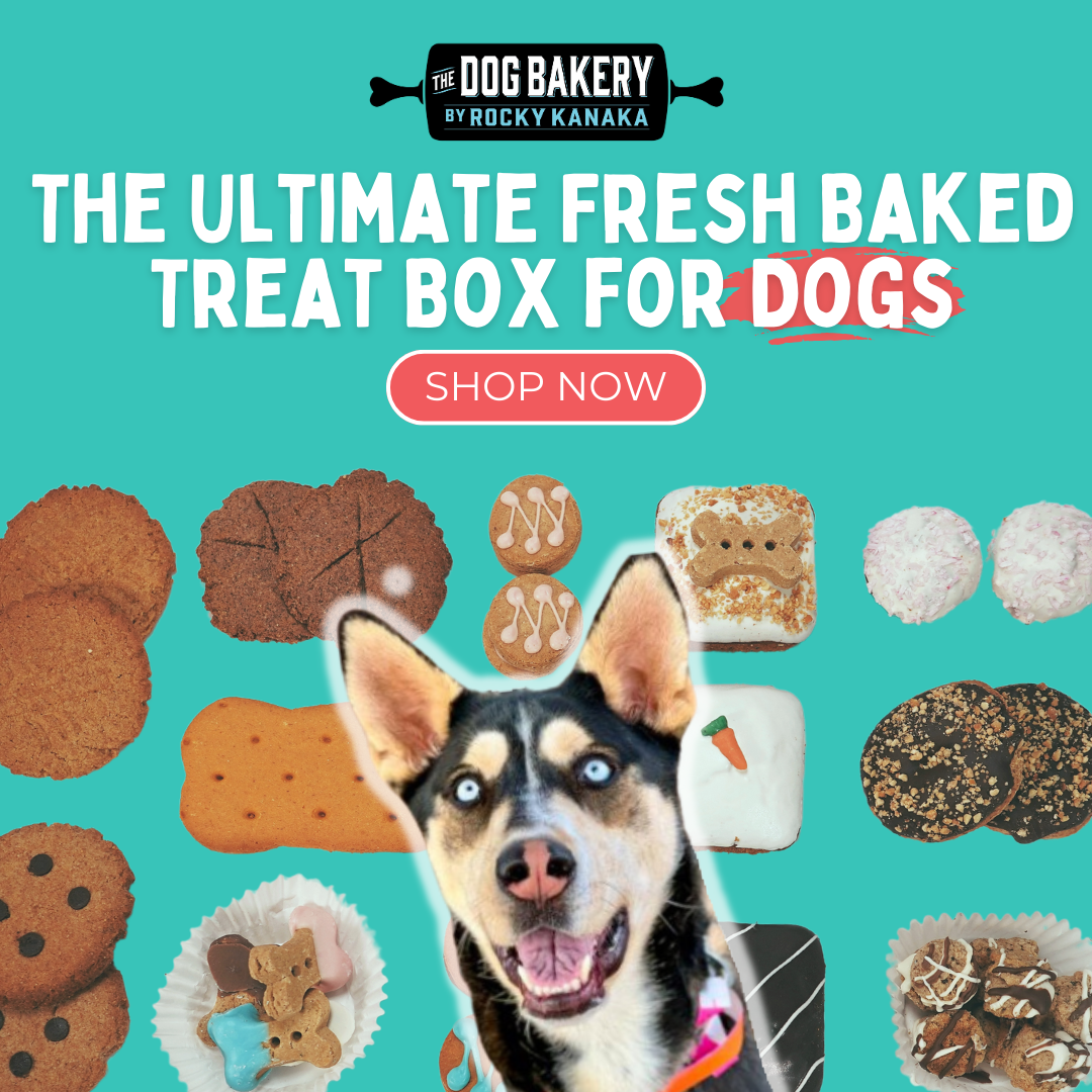 The Dog Bakery Facebook ad