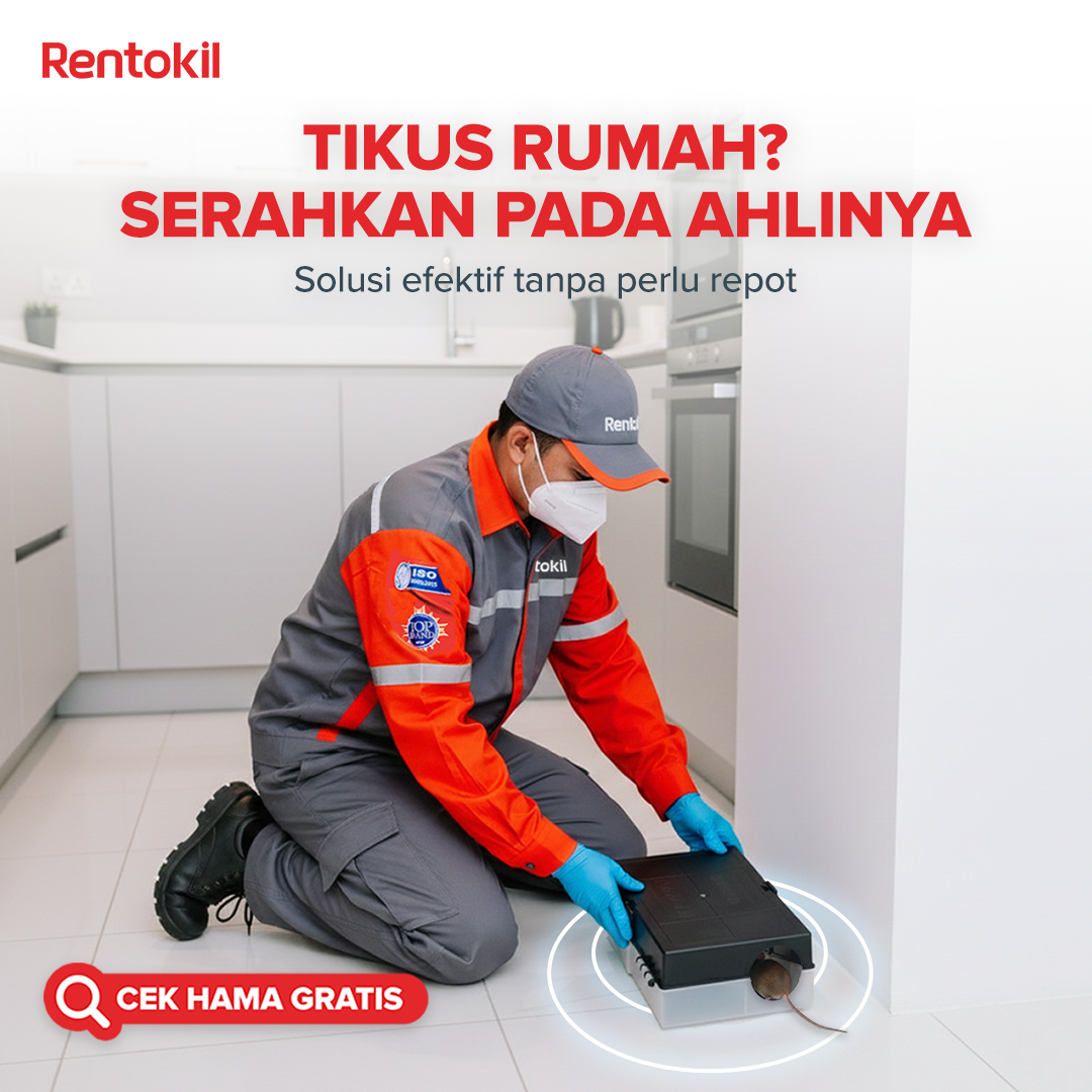 Rentokil Indonesia Facebook ad from Jan 4, 2026
