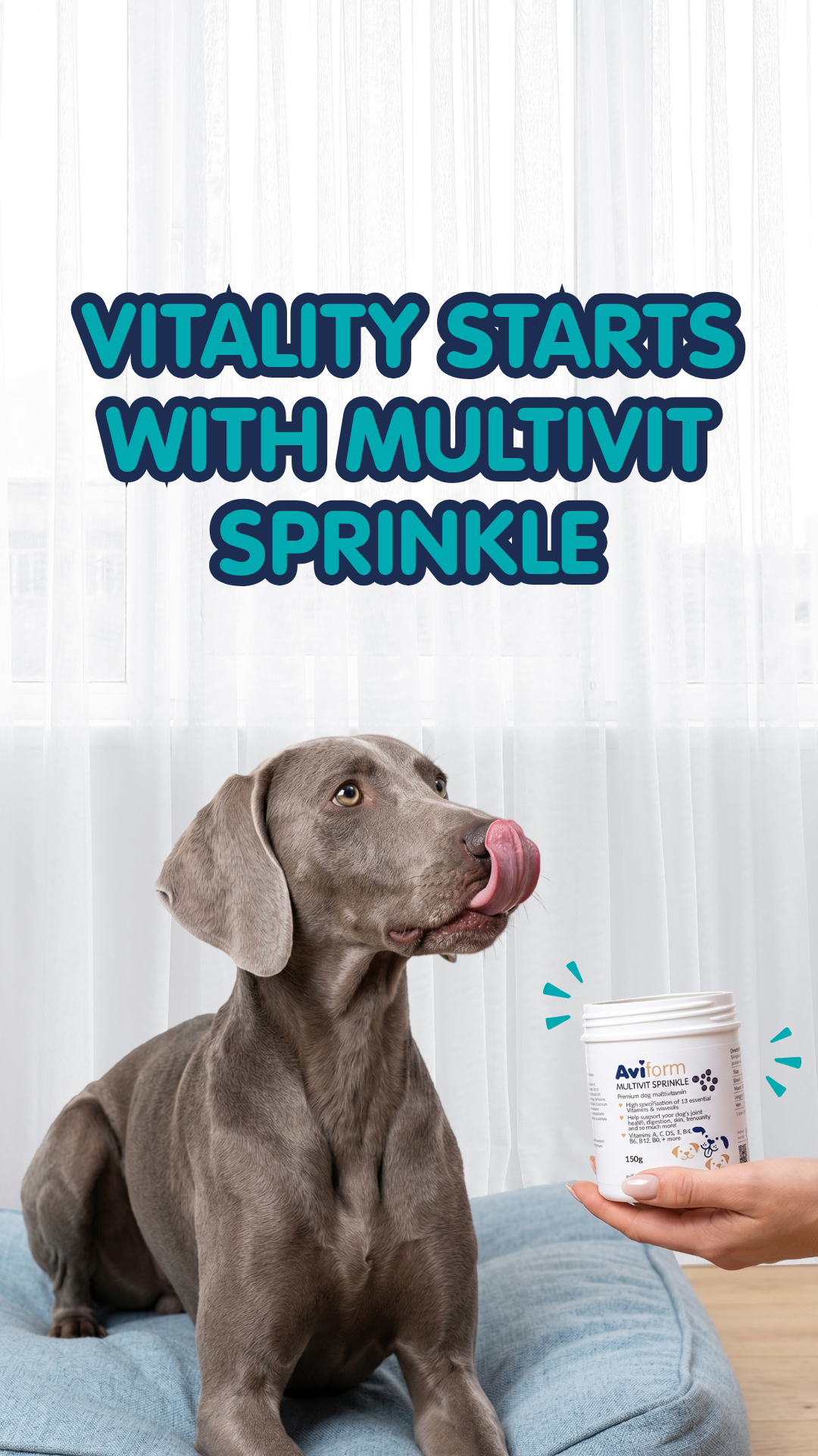 Aviform Nutrition UK - Horse & Dog Facebook ad