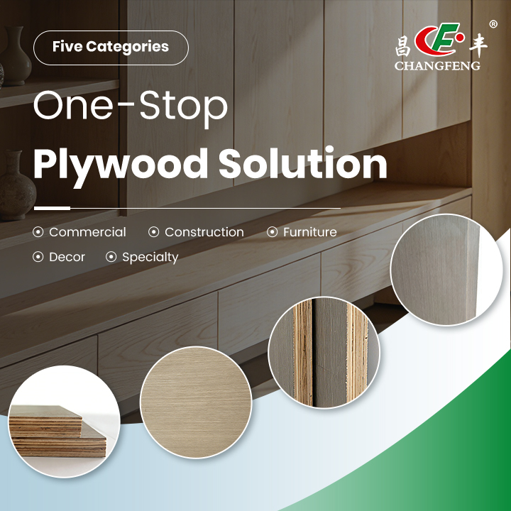 Pingyi Changfeng Plywood Factory Co., Ltd. Facebook ad from Jun 15, 2026